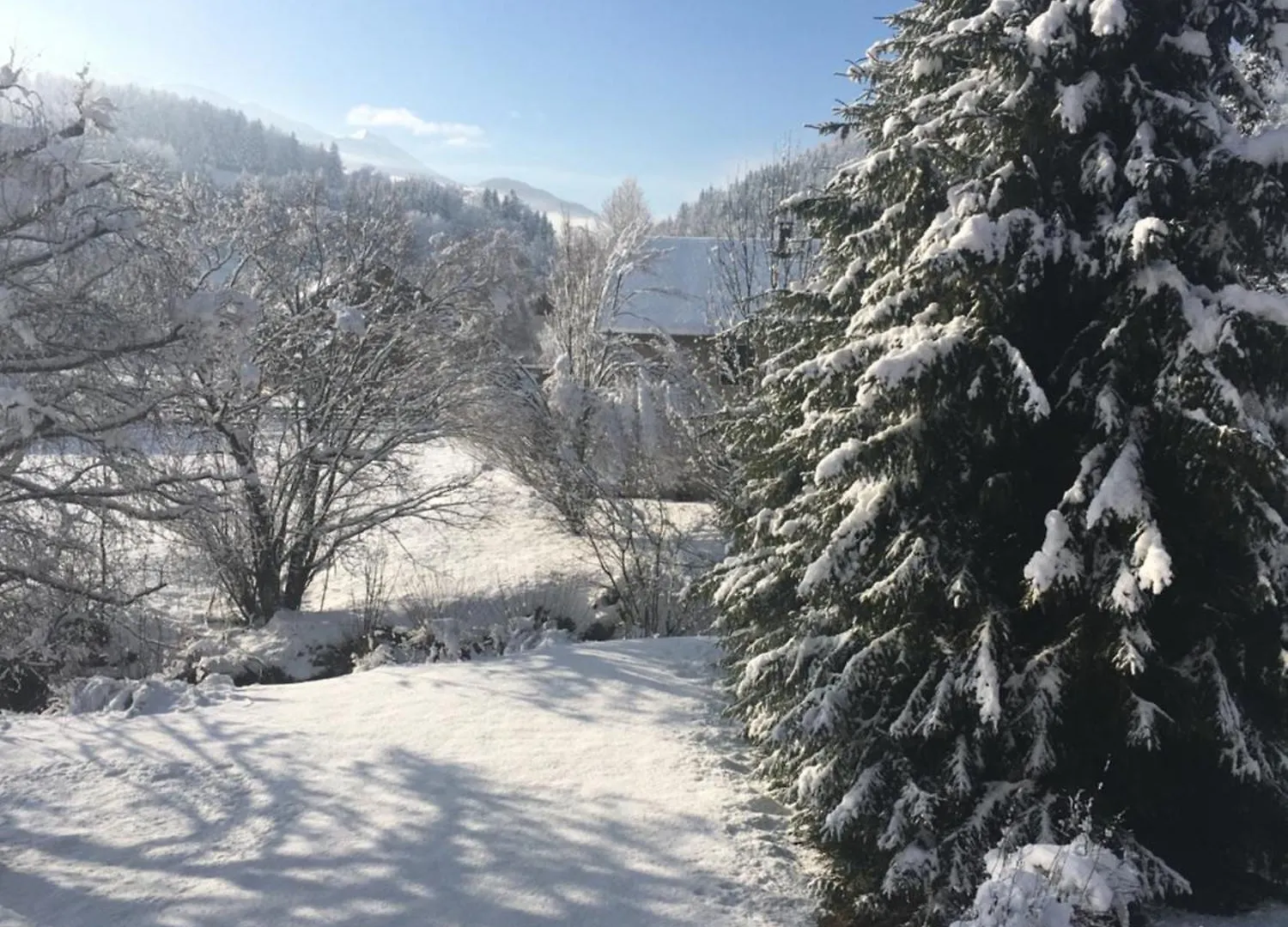 Appartement Cocooning Villard-de-Lans Apartment